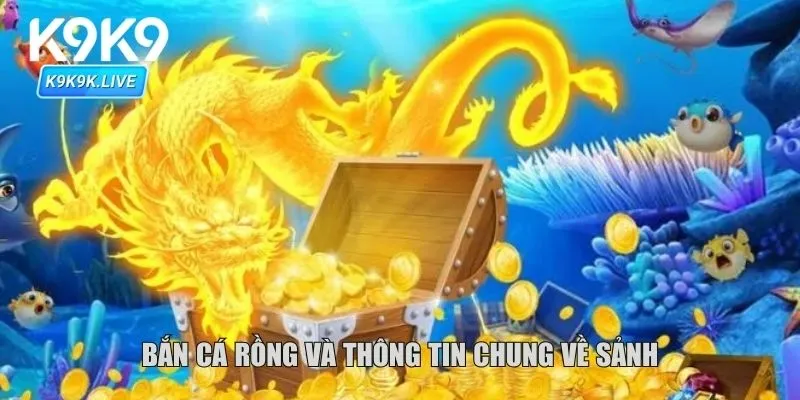 Bắn cá rồng và thông tin chung về sảnh