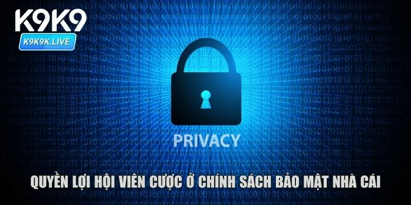 Quyền lợi hội viên cược ở chính sách bảo mật nhà cái