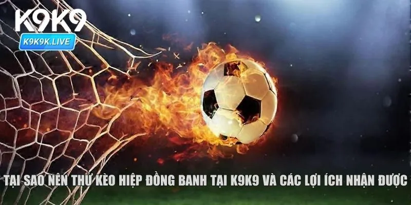 Tại sao nên thử kèo hiệp đồng banh tại K9K9 và các lợi ích nhận được