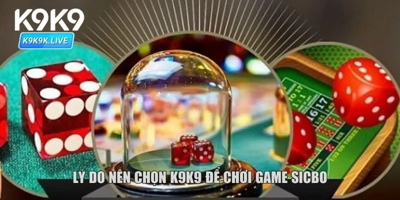 Lý do nên chọn K9K9 để chơi game sicbo